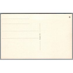 Fra Viborg Domkirke - Postkort - Ubrugt