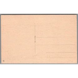 Fra Viborg Domkirke - Postkort - Ubrugt