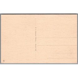 Viborg Domkirke - Postkort - Ubrugt