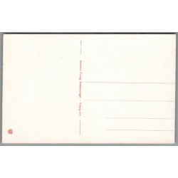 Fra Viborg Domkirke - Postkort - Ubrugt