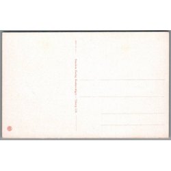 Fra Viborg Domkirke - Postkort - Ubrugt