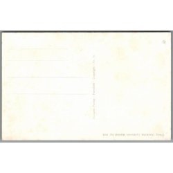 Viborg Domkirke - Postkort - Ubrugt