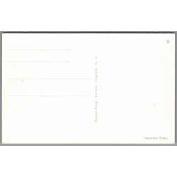 Viborg Domkirke - Postkort - Ubrugt