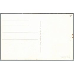 Viborg Domkirke - Postkort - Ubrugt