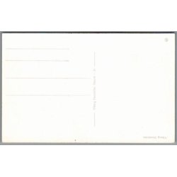 Viborg Domkirke - Postkort - Ubrugt