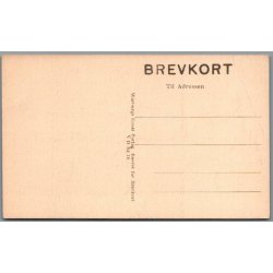 Viborg Domkirke - Skovgaard - Postkort - Ubrugt