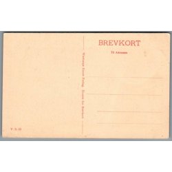 Viborg Domkirke - Skovgaard - Postkort - Ubrugt