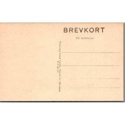 Viborg Domkirke - Skovgaard - Postkort - Ubrugt