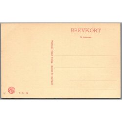 Viborg Domkirke - Skovgaard - Postkort - Ubrugt