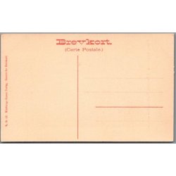 Viborg Domkirke - Skovgaard - Postkort - Ubrugt