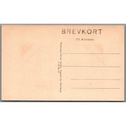 Viborg Domkirke - Skovgaard - Postkort - Ubrugt