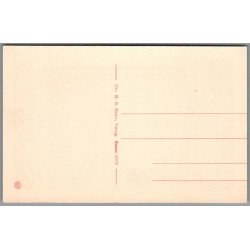 Viborg Domkirke - Skovgaard - Postkort - Ubrugt