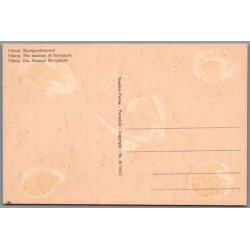 Viborg - Skovgaardsmuseet - Postkort - Ubrugt