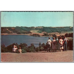 Viborg - Dollerup Bakker - Postkort - Brugt