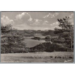 Viborg - Dollerup Bakker - Postkort - Ubrugt