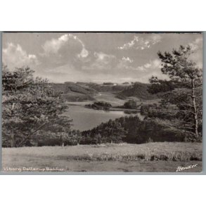 Viborg - Dollerup Bakker - Postkort - Ubrugt