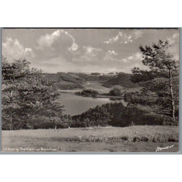 Viborg - Dollerup Bakker - Postkort - Ubrugt