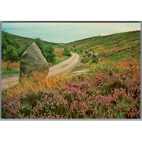 Kongenshus Mindepark - Postkort - Ubrugt