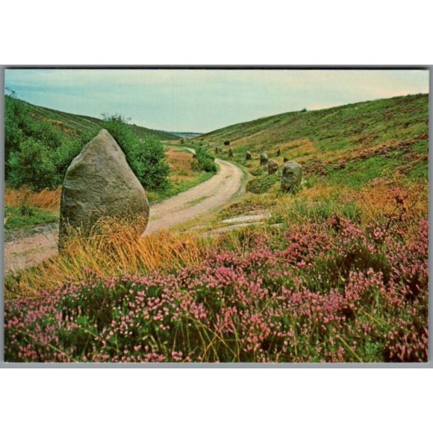 Kongenshus Mindepark - Postkort - Ubrugt