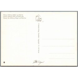 Viborg - Dollerup Bakker og Hald S� - Postkort - Ubrugt