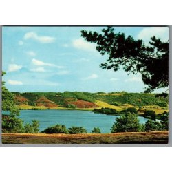 Viborg - Dollerup Bakker og Hald S� - Postkort - Ubrugt