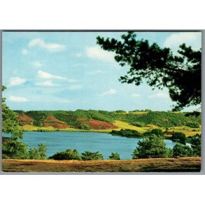 Viborg - Dollerup Bakker og Hald S� - Postkort - Brugt