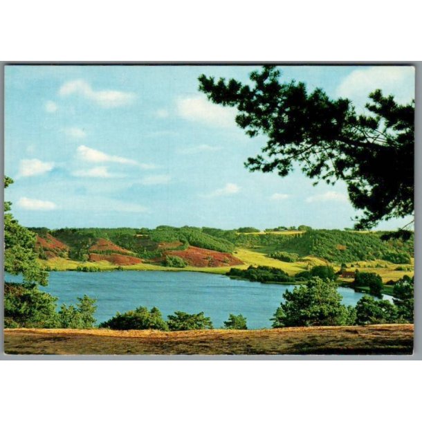 Viborg - Dollerup Bakker og Hald S� - Postkort - Brugt