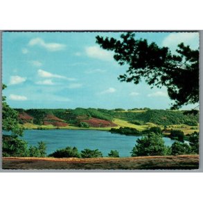 Viborg - Dollerup Bakker og Hald S� - Postkort - Brugt