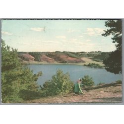 Viborg - Dollerup Bakker og Hald S� - Postkort - Brugt