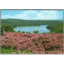 Viborg - Dollerup Bakker og Hald S� - Postkort - Ubrugt