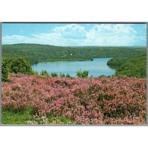 Viborg - Dollerup Bakker og Hald S� - Postkort - Ubrugt