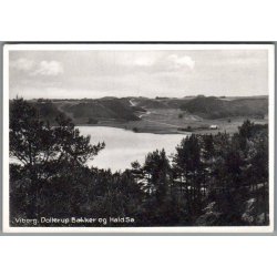 Viborg - Dollerup Bakker og Hald S� - Postkort - Ubrugt