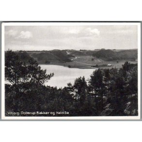 Viborg - Dollerup Bakker og Hald S� - Postkort - Ubrugt