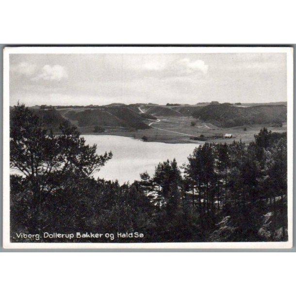 Viborg - Dollerup Bakker og Hald S� - Postkort - Ubrugt