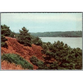 Viborg - Dollerup Bakker - Postkort - Brugt