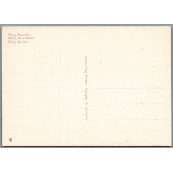 Viborg Domkirke - Postkort - Ubrugt