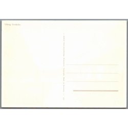 Viborg Domkirke - Postkort - Ubrugt