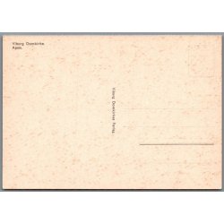 Viborg Domkirke - Postkort - Ubrugt