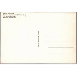 Viborg Domkirke - Postkort - Ubrugt