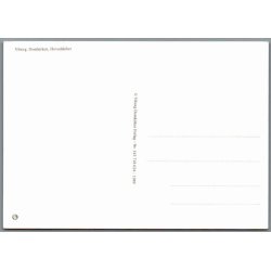 Viborg Domkirke - Postkort - Ubrugt