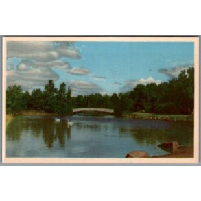 Randers - Fra Doktorparken - Postkort - Ubrugt