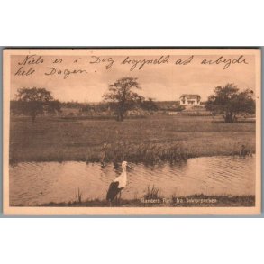 Randers - Parti fra Doktorparken - Postkort - Brugt