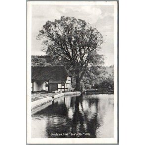 Randers - Parti fra Volk Mlle - Postkort - Brugt