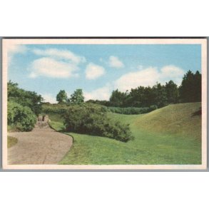 Randers - Fra Vestparken - Postkort - Ubrugt