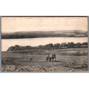 Randers - Fussing� S�  - Postkort - Brugt