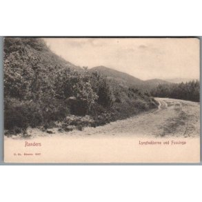 Randers - Lyngbakkerne ved Fussing�  - Postkort - Ubrugt