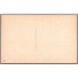 Randers - Parti fra Skovbakken - Postkort - Ubrugt