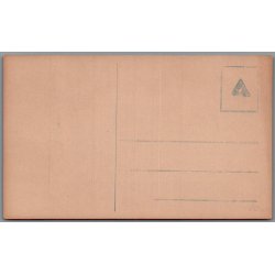 Randers - Parti fra Skovbakken - Postkort - Ubrugt