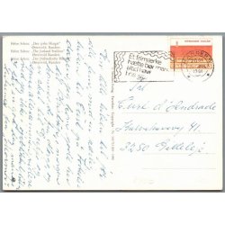 "Den jyske Hingst" - �stervold - Postkort - Brugt