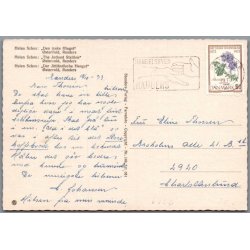 "Den jyske Hingst" - �stervold - Postkort - Brugt